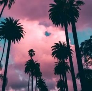 Meet your Posher, Julius